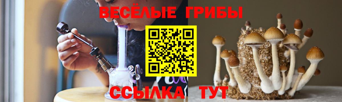 Галлюциногенные грибы Magic Shrooms Анжеро-Судженск